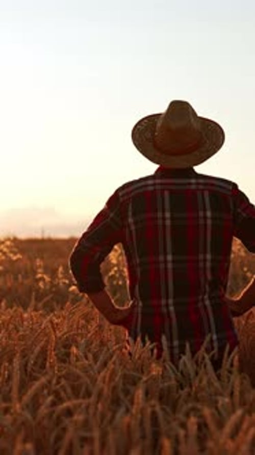 Rear view of a man in a hat and checkered shirt standing in the field. Farmer looks at the field hol
