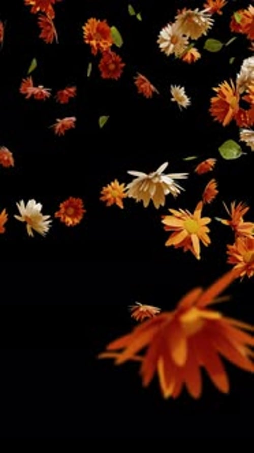 Realistic Falling Flowers Vertical Overlay