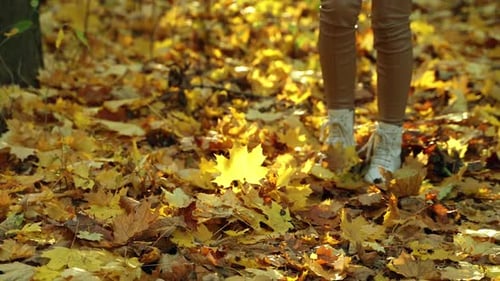 Person Walking Through Fallen Leaves on Autumn Day