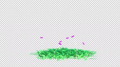 Transparenter Hintergrund mit wachsendem Blumenbeet