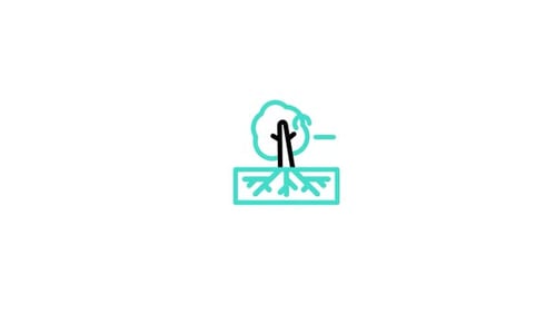 Line Art Growing Tree with Roots Animated Icon