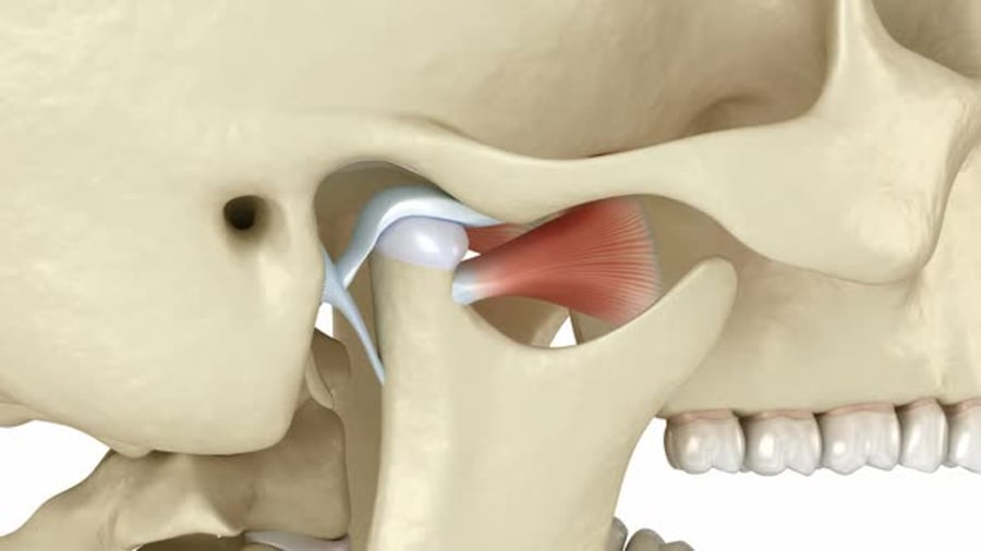 Detailed TMJ Anatomy with Jaw Movement 3D Animation, Backgrounds Motion ...