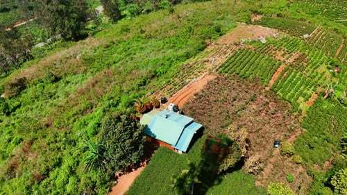 Approaching a little house with agricultural fields nearby. Aerial view of rural area in Sri Lanka.