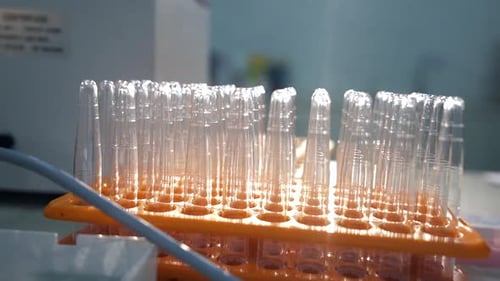 Empty test tubes in laboratory setting