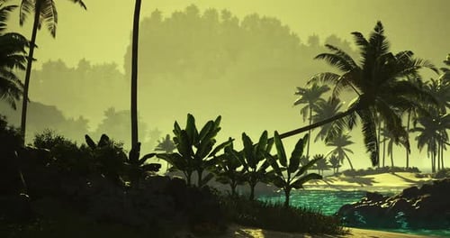 Tropical Beach Island Sunset Landscape Animation