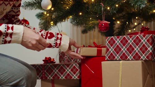 Woman Places Christmas Gift Under Decorated Tree