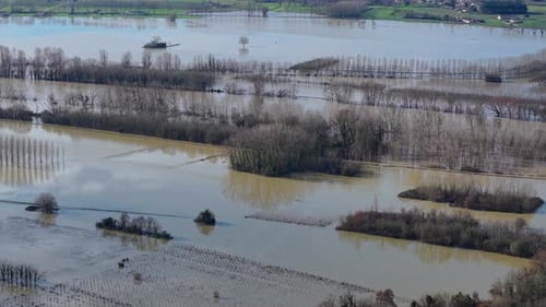 Aerial view of floodwaters submerge a landscape of vineyards and a lone building