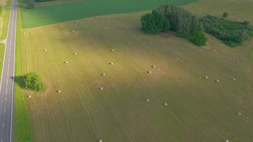Aerial view of harvested field with scattered hay bales next to rural road and green trees under