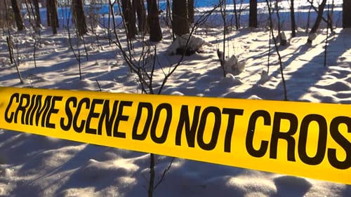 Crime Scene Tape Gliding Through Snowy Winter Forest