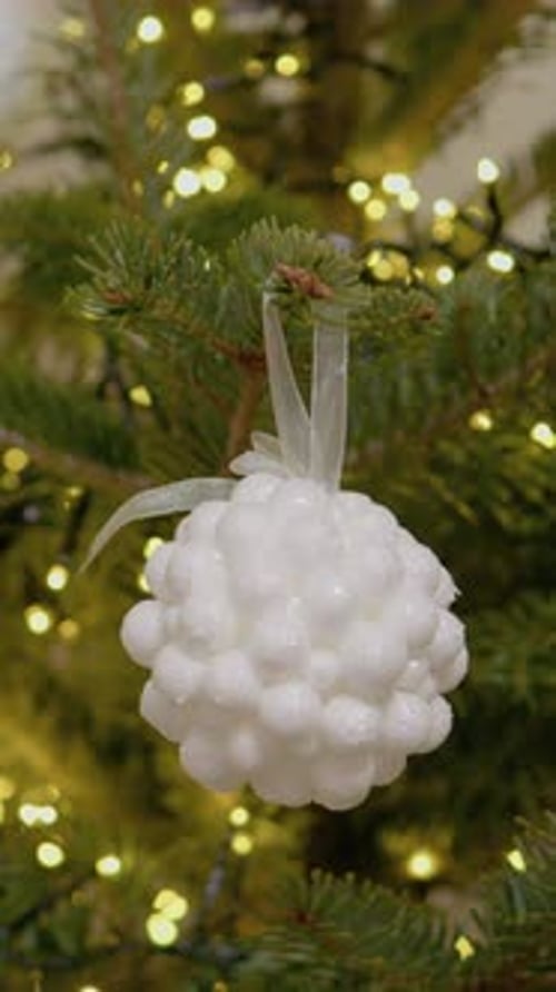 Christmas tree with decorative ornament and lights