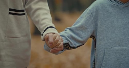 Little Boy and Parents Walking in Park in Autumn Holding Hands Closeup Prores