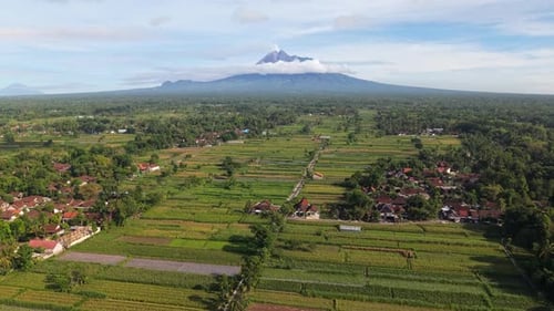 Aerial view of rice paddies and Mount Merapi, Indonesia.