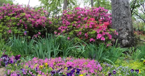 The Old Mill is located in the T.R. Pugh Memorial Park North Little Rock Arkansas
listed on the Nati