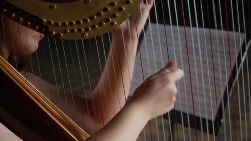 Young Female Harpist Playing Harp in front of Music Stand