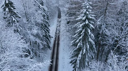 Empty Road In The Middle Of The Forest On A Snowy Winter Day - aerial pullback