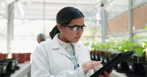 Tablet, science and sustainability with a woman in a greenhouse to study plant growth for ecology