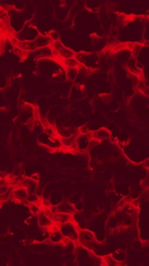 Vertical Abstract Red Fluid Motion Background Loop