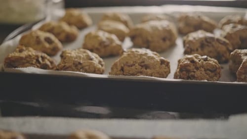 Freshly Baked Chocolate Chip Cookies On Baking Tray. - close up shot