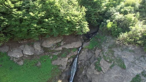 Scenic Waterfall Flowing Through Lush Green Forest