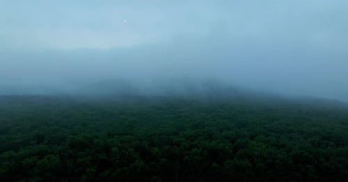 Aerial view on the hazy forest