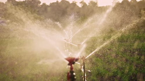 Field Irrigation