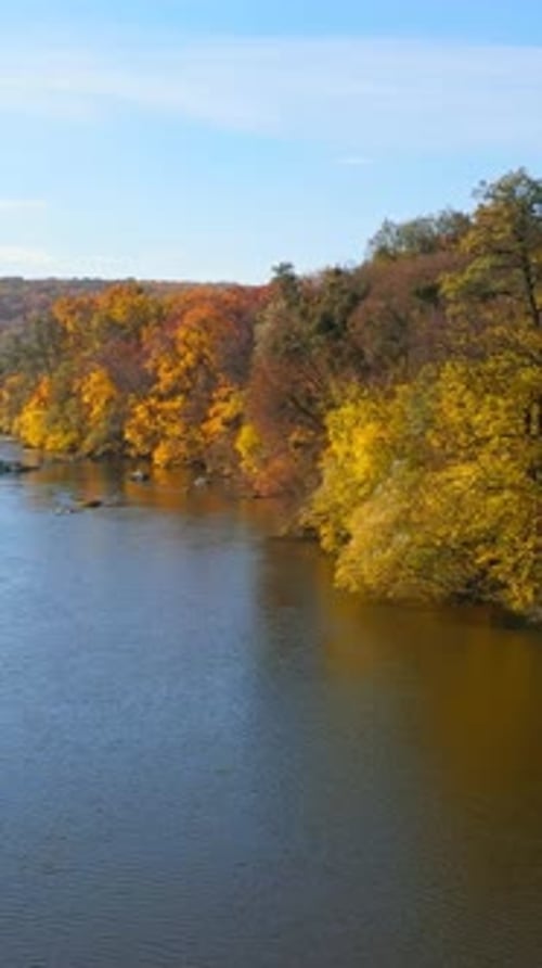 Aerial view. Flying over the beautiful sunny forest trees and wide river.