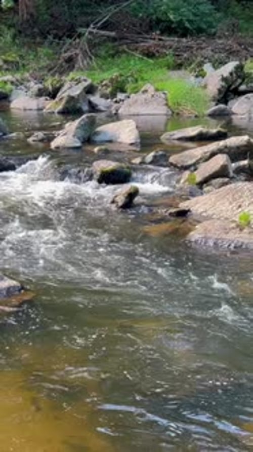Stream Water and Green Mossy Rocks River Flow in the Mountains Vertical Video