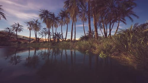 Oasis tranquille avec des palmiers se reflétant dans l'eau calme au crépuscule