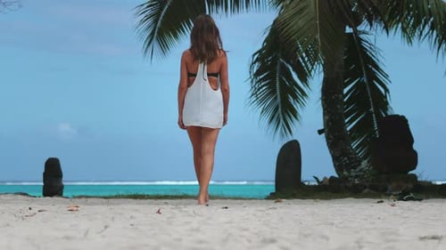 Woman Walking on Beach Next to Palm Tree