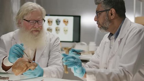 Scientists Analyzing Human Bones and Skulls in Lab