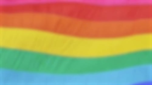 LGBT flag