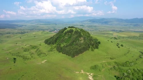 Aerial View of a Green Hill with Pine Trees in the Middle of a Meadow in Spring