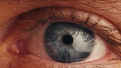 Extreme Close Up of a Blue Eye