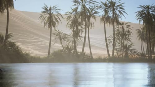 Palmeras junto al agua