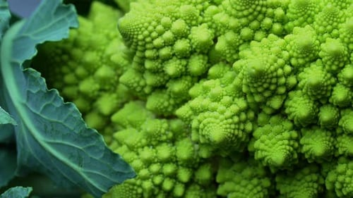 Vue macro de la tête de brocoli Romanesco avec vue macro du chou vert, séquence de Fibonacci en gros plan