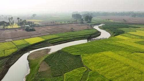 Aerial view of river flowing through fields, Bangladesh.
