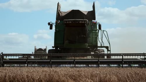 Harvester Machine to Harvest Wheat Field Working