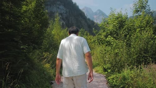 Man Walks Along Verdant Path in Scenic Mountains