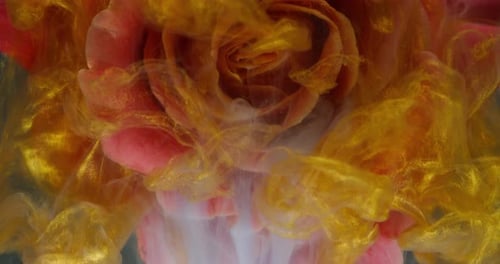 Ink Flower Water Petals Rose Paint Water Blend Art