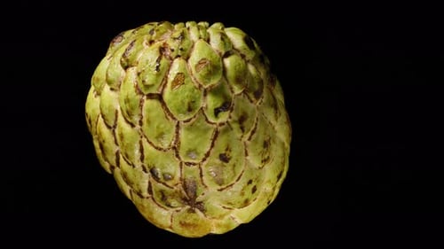 Cut Sugar Apple Rotating on Black Background Showing Creamy Flesh and Seeds in Center, Looping