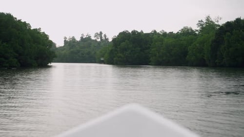 Point of View Cruising Through Mangrove Forest River Lush Greenery on Banks Tranquil Tropical Nature
