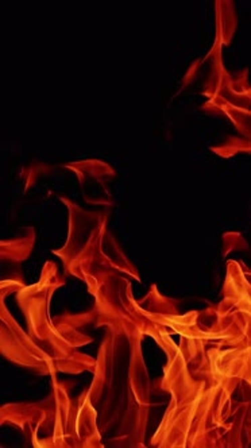 Red blaze upper part view. Campfire burning isolated in the darkness. Close up.