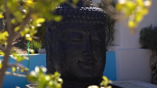 Buddha Head in Asian Garden