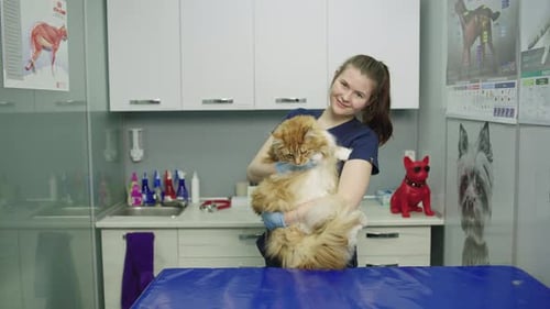 Veterinarian Holding an Orange Cat in Clinic