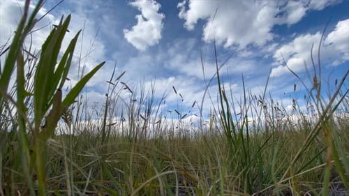 Bewölkter Himmel und die Wiese im Zeitraffer