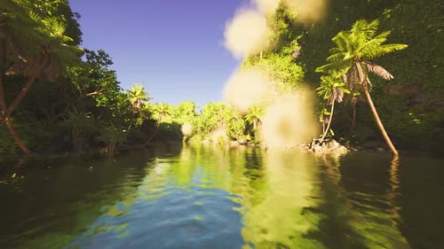 Peaceful Tropical Haven with Shimmering Reflections Surrounded By Dense Forest