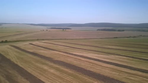 Tractor working on the field doing tillage with cultivator