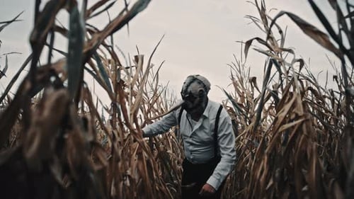 Masked Figure with Crowbar Stands in Cornfield