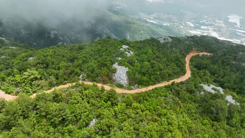 Into the Unknown Aerial View of the Enigmatic Forest Inviting You to Explore Turkey's Natural