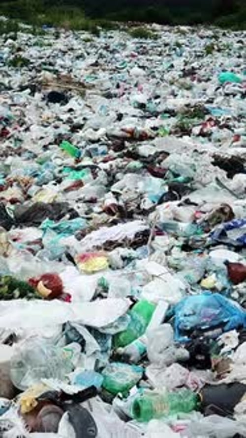 Littered Landscape A Striking and Unforgettable View of Waste and Pollution in Nature